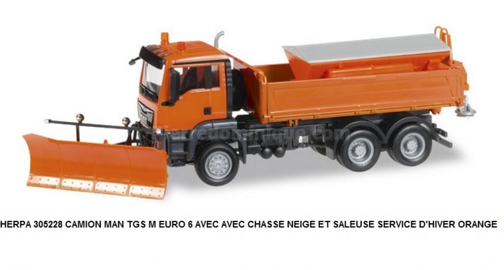 CAMION MAN TGS M EURO 6 AVEC CHASSE NEIGE ET SALEUSE ...