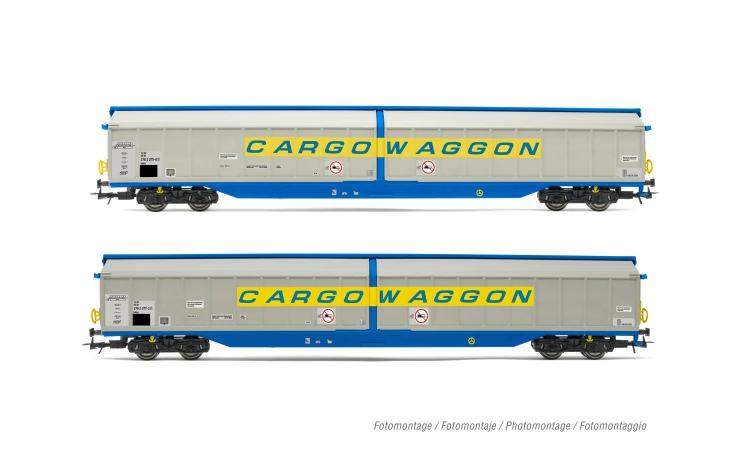 SET DE 2 WAGONS A PAROIS COULISSANTES HABILLSS LIVREE ARGENT CARGOWAGGON DB