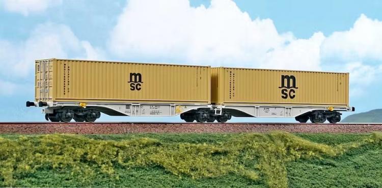 WAGON PORTE CONTENEURS INTERMODAL SGGRS 80' 2 CONTENEURS MSC DE 40