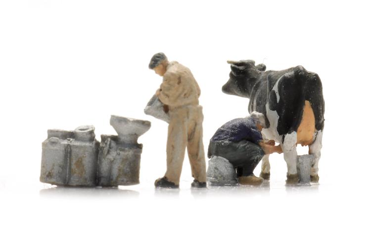 FERMIERS À LA TRAITE AVEC VACHE ET CRUCHES