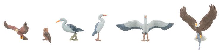 OISEAUX SAUVAGES